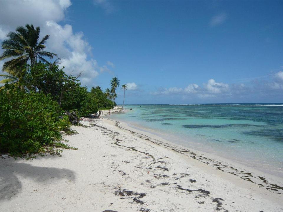 Alizes Bungalows Sainte-Anne  Bagian luar foto