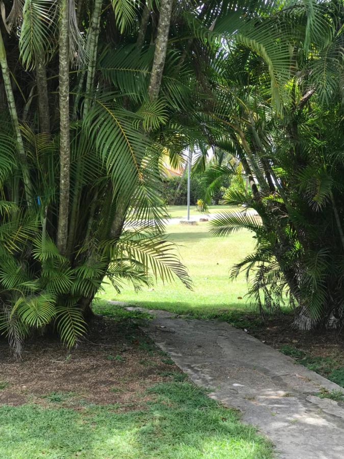 Alizes Bungalows Sainte-Anne  Bagian luar foto
