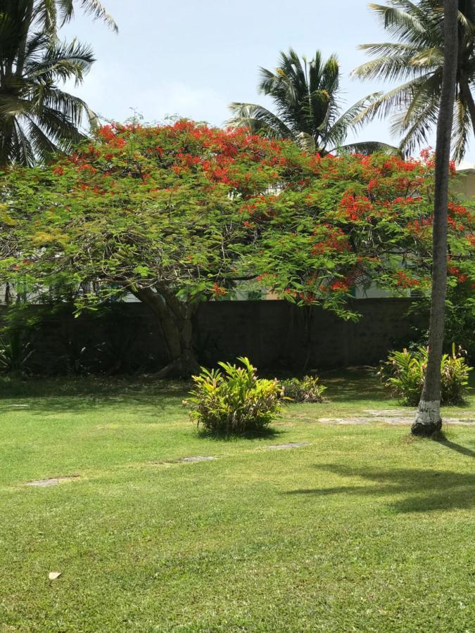 Alizes Bungalows Sainte-Anne  Bagian luar foto